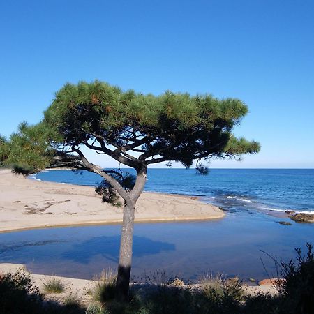 Domaine De La Testa Sainte-Lucie de Porto-Vecchio Buitenkant foto